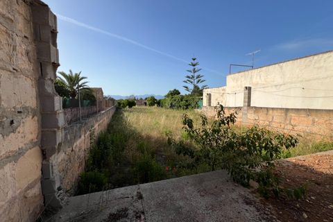 Helårsgrund i Algaida, Mallorca, Algaida - € 430.000 | Ref: EXP14695/8930 - foto 4