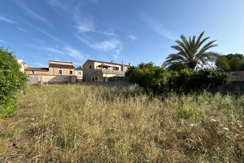 Helårsgrund i Algaida, Mallorca, Algaida - € 430.000 | Ref: EXP14695/8930 - foto 5