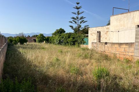 Helårsgrund i Algaida, Mallorca, Algaida - € 430.000 | Ref: EXP14695/8930 - foto 6