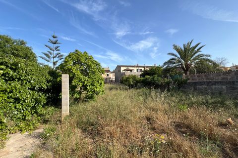 Helårsgrund i Algaida, Mallorca, Algaida - € 430.000 | Ref: EXP14695/8930 - foto 8