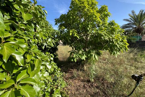 Helårsgrund i Algaida, Mallorca, Algaida - € 430.000 | Ref: EXP14695/8930 - foto 9