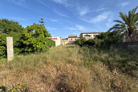 Helårsgrund i Algaida, Mallorca, Algaida - € 430.000 | Ref: EXP14695/8930 - foto 10