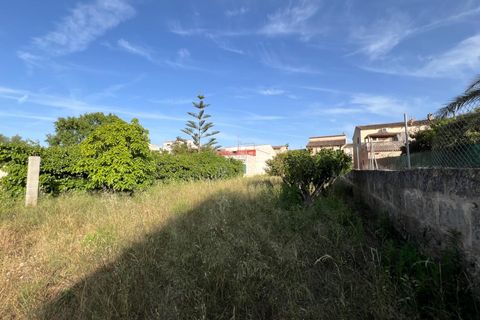 Helårsgrund i Algaida, Mallorca, Algaida - € 430.000 | Ref: EXP14695/8930 - foto 11