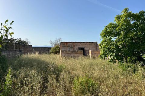 Helårsgrund i Algaida, Mallorca, Algaida - € 430.000 | Ref: EXP14695/8930 - foto 12