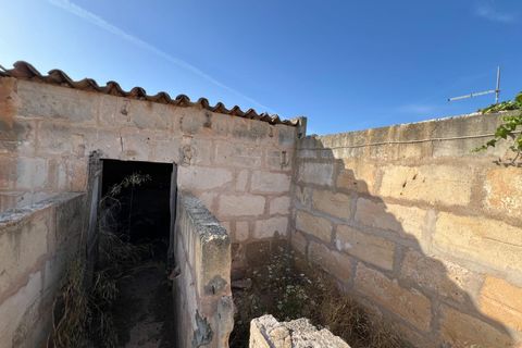 Helårsgrund i Algaida, Mallorca, Algaida - € 430.000 | Ref: EXP14695/8930 - foto 13