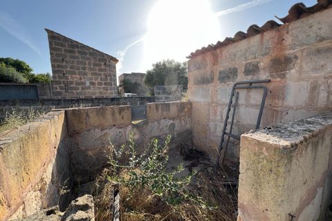 Helårsgrund i Algaida, Mallorca, Algaida - € 430.000 | Ref: EXP14695/8930 - foto 14
