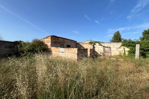 Helårsgrund i Algaida, Mallorca, Algaida - € 430.000 | Ref: EXP14695/8930 - foto 16