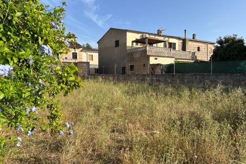 Helårsgrund i Algaida, Mallorca, Algaida - € 430.000 | Ref: EXP14695/8930 - foto 17