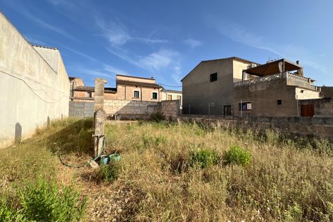 Helårsgrund i Algaida, Mallorca, Algaida - € 430.000 | Ref: EXP14695/8930 - foto 18