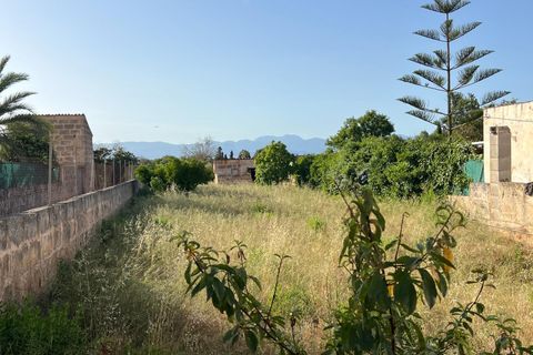 Helårsgrund i Algaida, Mallorca, Algaida - € 430.000 | Ref: EXP14695/8930 - foto 19
