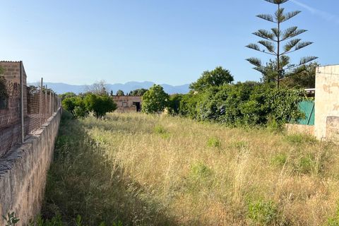 Helårsgrund i Algaida, Mallorca, Algaida - € 430.000 | Ref: EXP14695/8930 - foto 20