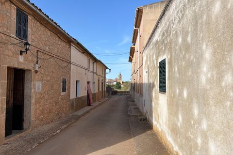Helårsgrund i Algaida, Mallorca, Algaida - € 430.000 | Ref: EXP14695/8930 - foto 25