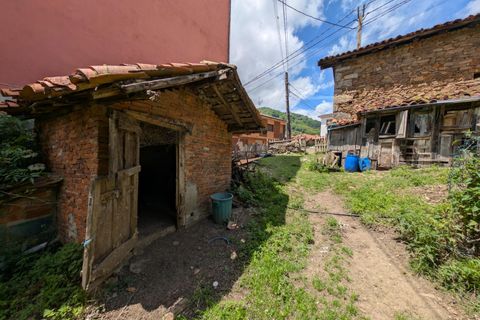 Villa a Aller, Asturias, Aller - € 60.000 | Ref: QPE00414/10606 - foto 12