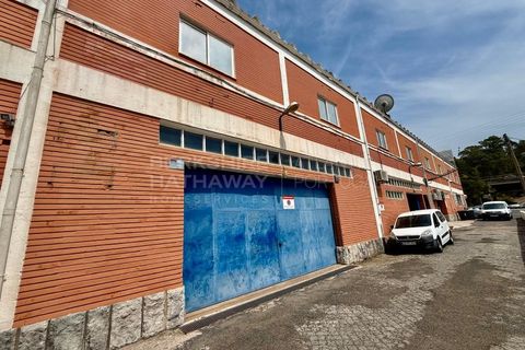 Erhvervsejendom i Carnaxide, Lisbon, Carnaxide - € 1.500.000 | Ref: MAG_1290 - foto 3