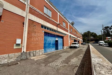 Erhvervsejendom i Carnaxide, Lisbon, Carnaxide - € 1.500.000 | Ref: MAG_1290 - foto 13