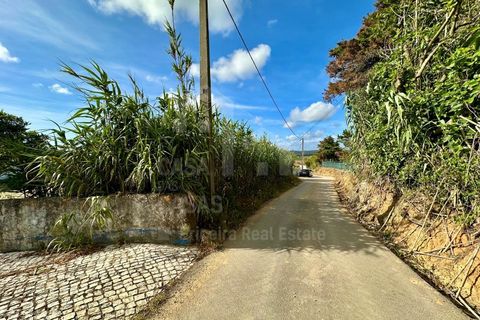 Helårsgrund i Ericeira, Lisbon, Ericeira - € 220.000 | Ref: V26084 - foto 15
