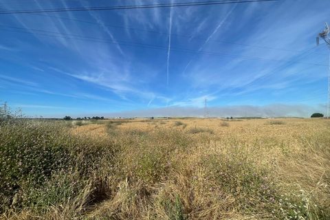 Terra a Huelva, Huelva, Huelva - € 230.000 | Ref: RAC002461/10841 - foto 6