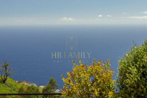 Villa i Calheta, Madeira, Calheta - € 465.000 | Ref: 1026 - foto 46