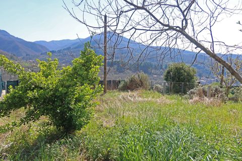 Landejendom i Bagnone, Massa and Carrara, Bagnone - € 120.000 | Ref: 381B - foto 19