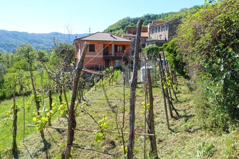 Rækkehus i Tresana, Massa and Carrara, Tresana - € 75.000 | Ref: 390B - foto 22