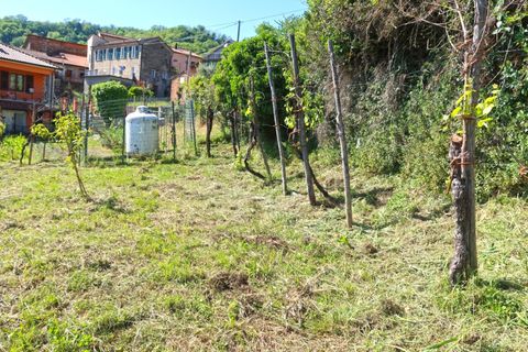 Rækkehus i Tresana, Massa and Carrara, Tresana - € 75.000 | Ref: 390B - foto 23