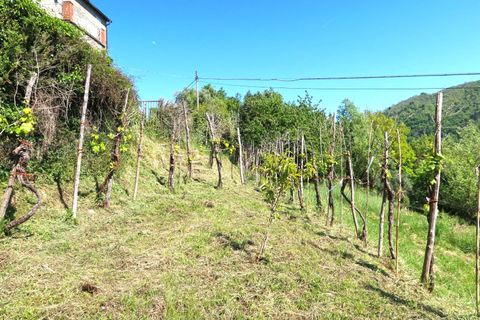 Rækkehus i Tresana, Massa and Carrara, Tresana - € 75.000 | Ref: 390B - foto 24