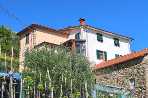 Rækkehus i Tresana, Massa and Carrara, Tresana - € 75.000 | Ref: 390B - foto 25