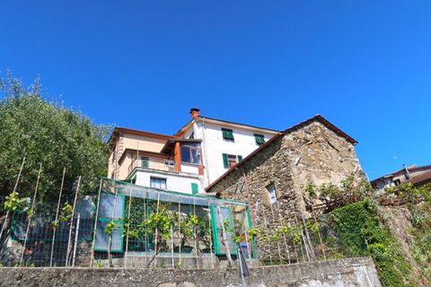 Rækkehus i Tresana, Massa and Carrara, Tresana - € 75.000 | Ref: 390B - foto 26