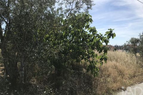 Tomt i Leiria, Leiria, Leiria - € 115 000 | Ref: 945591 - foto 2
