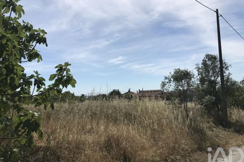 Tomt i Leiria, Leiria, Leiria - € 115 000 | Ref: 945591 - foto 3