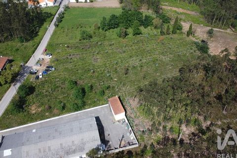 Terra a Anadia, Aveiro, Anadia - € 120.000 | Ref: 882836 - foto 2