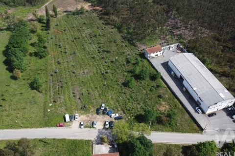 Terra a Anadia, Aveiro, Anadia - € 120.000 | Ref: 882836 - foto 4