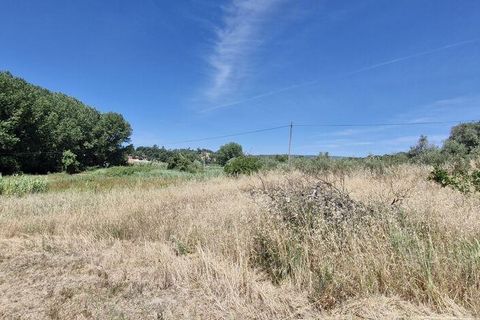 Terra a Rio Maior, Santarem, Rio Maior - € 39.000 | Ref: 934194 - foto 3