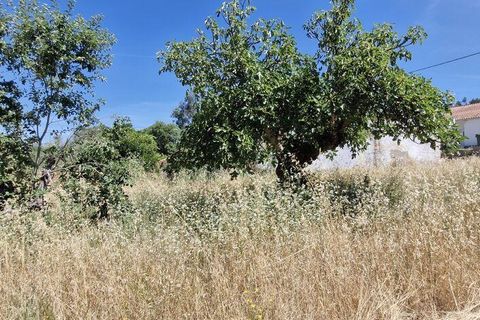 Terra a Rio Maior, Santarem, Rio Maior - € 39.000 | Ref: 934194 - foto 4