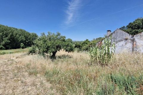 Terra a Rio Maior, Santarem, Rio Maior - € 39.000 | Ref: 934194 - foto 5