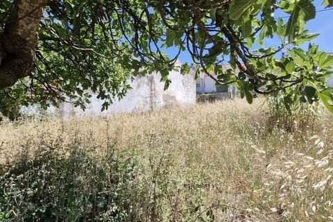 Terra a Rio Maior, Santarem, Rio Maior - € 39.000 | Ref: 934194 - foto 6
