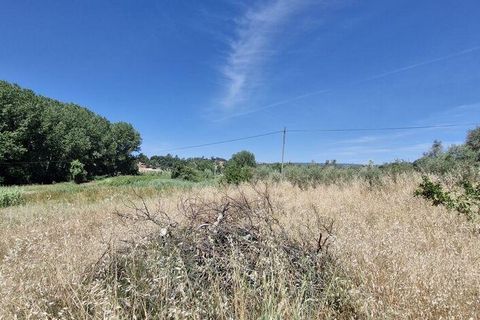 Terra a Rio Maior, Santarem, Rio Maior - € 39.000 | Ref: 934194 - foto 7