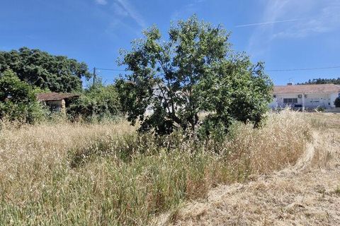 Terra a Rio Maior, Santarem, Rio Maior - € 39.000 | Ref: 934194 - foto 8
