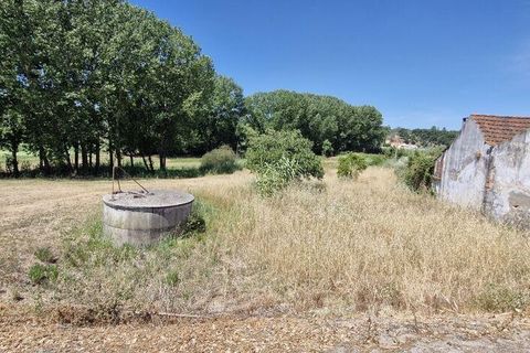 Terra a Rio Maior, Santarem, Rio Maior - € 39.000 | Ref: 934194 - foto 11