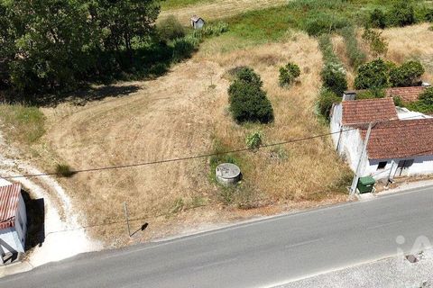 Terra a Rio Maior, Santarem, Rio Maior - € 39.000 | Ref: 934194 - foto 12