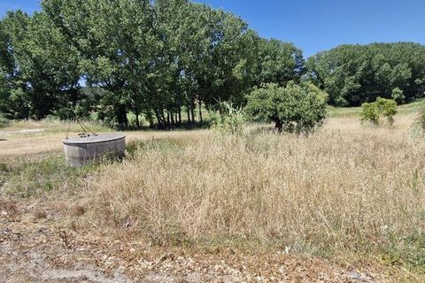 Terra a Rio Maior, Santarem, Rio Maior - € 39.000 | Ref: 934194 - foto 13