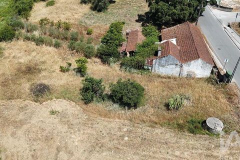 Terra a Rio Maior, Santarem, Rio Maior - € 39.000 | Ref: 934194 - foto 15
