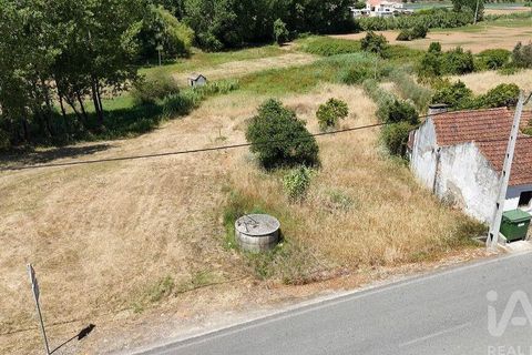 Terra a Rio Maior, Santarem, Rio Maior - € 39.000 | Ref: 934194 - foto 16