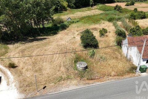 Terra a Rio Maior, Santarem, Rio Maior - € 39.000 | Ref: 934194 - foto 17