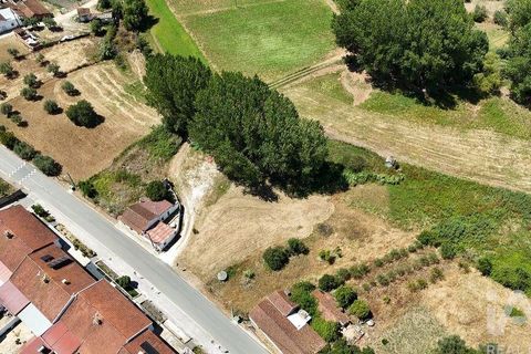 Terra a Rio Maior, Santarem, Rio Maior - € 39.000 | Ref: 934194 - foto 18