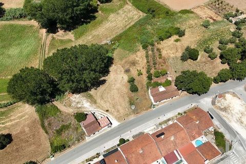 Terra a Rio Maior, Santarem, Rio Maior - € 39.000 | Ref: 934194 - foto 19