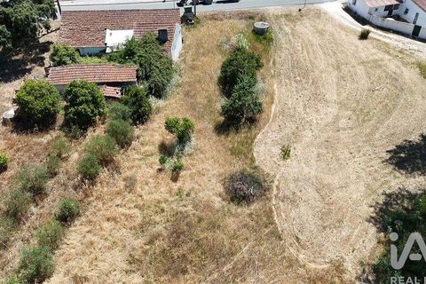 Terra a Rio Maior, Santarem, Rio Maior - € 39.000 | Ref: 934194 - foto 20