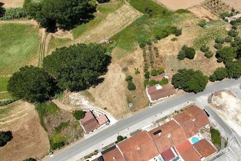 Terra a Rio Maior, Santarem, Rio Maior - € 39.000 | Ref: 934194 - foto 23