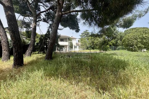 Villa en Boadilla Del Monte, Madrid, Boadilla Del Monte - € 1.150.000 | Ref: POZ68492 - photo 30