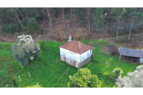 Villa i Viana do Castelo, Viana do Castelo, Viana do Castelo - € 92.000 | Ref: V147 - foto 3